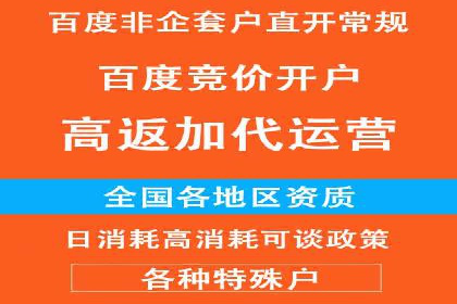 成功SEM服务案例：优化广告投放
